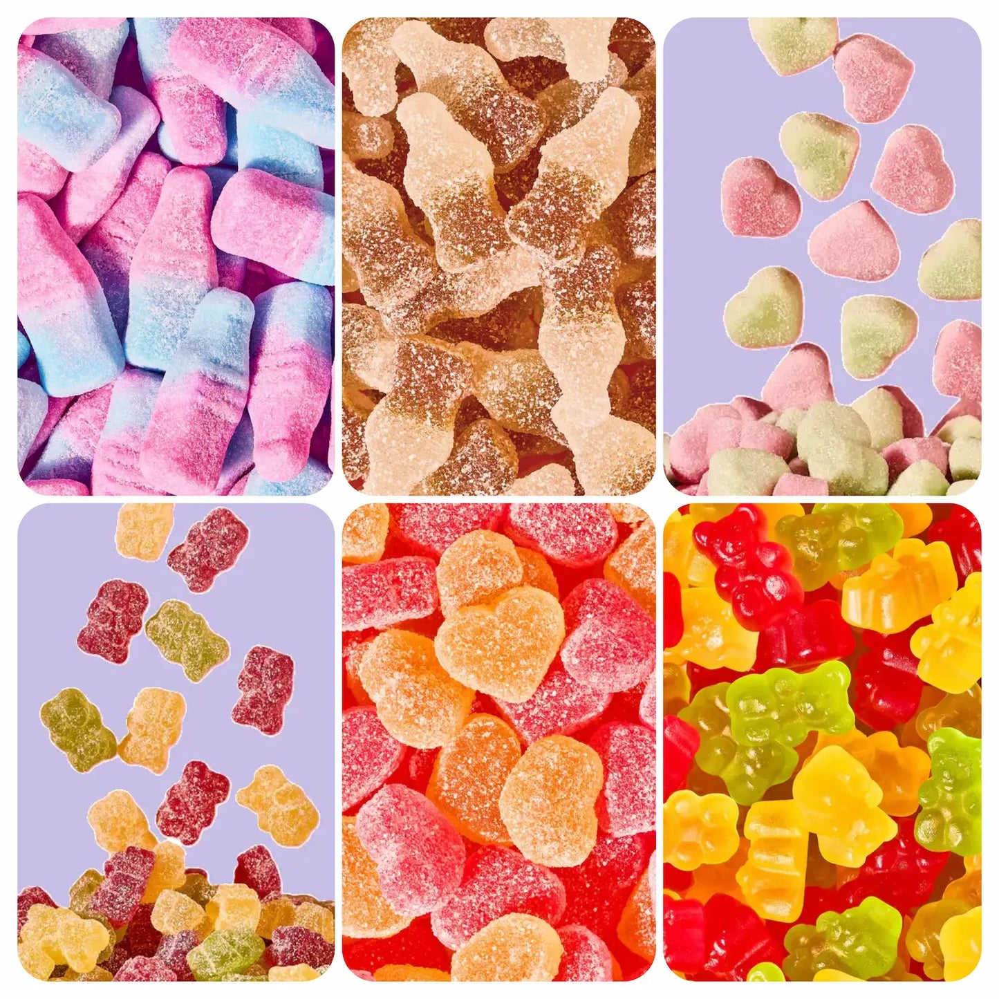 Lot de 12 sachets Rebelle