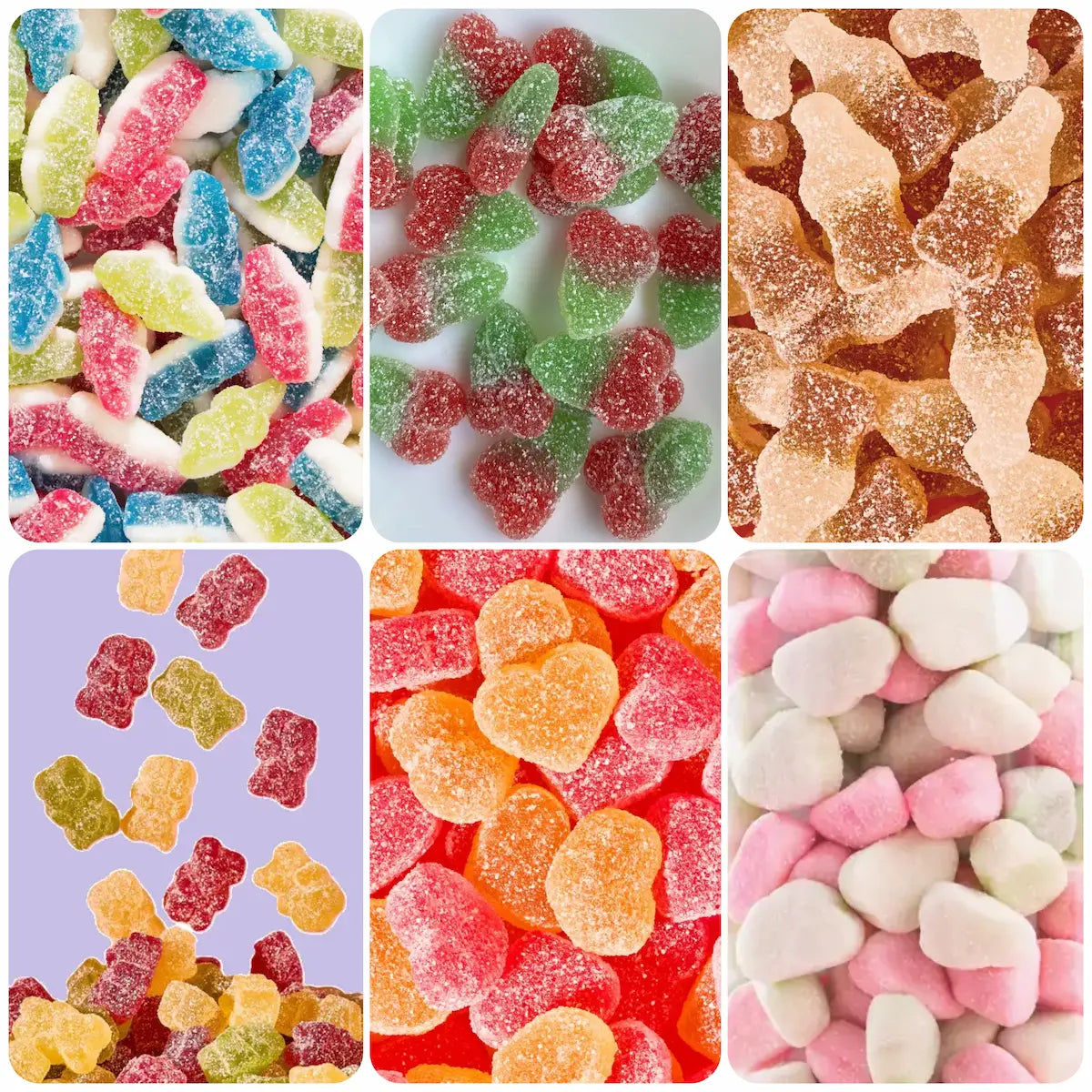 Lot de 6 sachets Rebelle. Pop